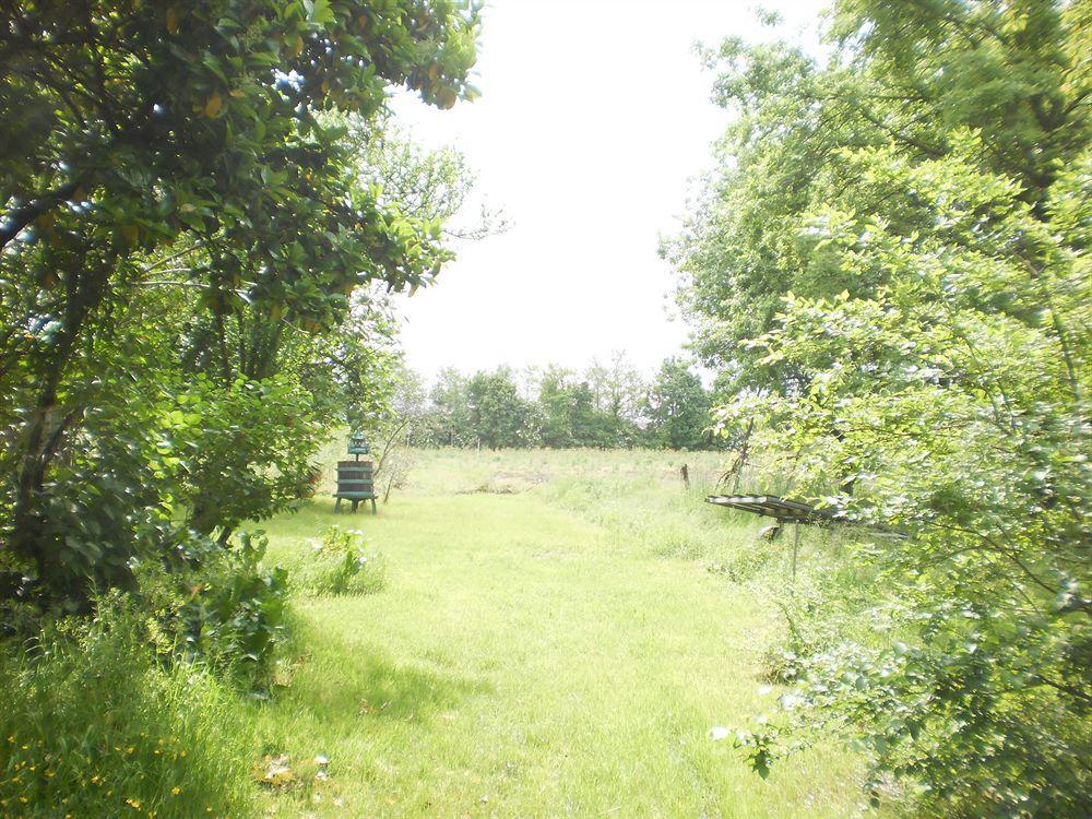 Green Fields Padoue Extérieur photo