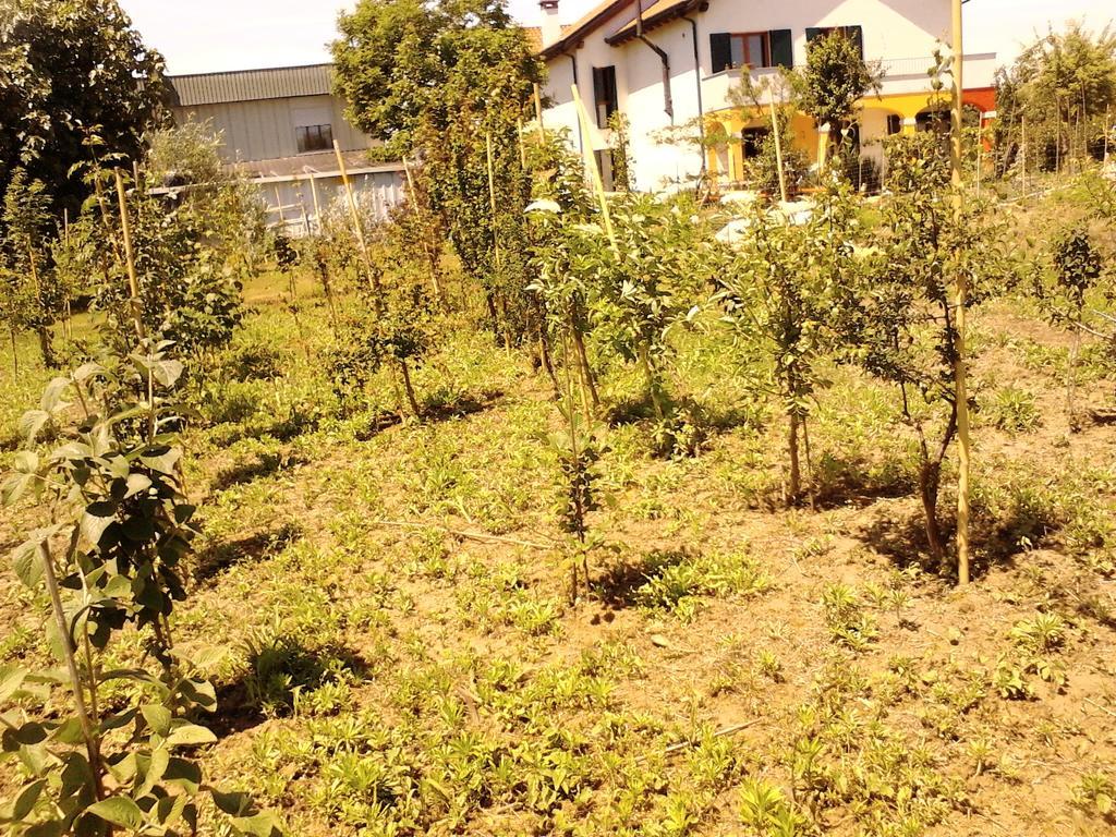 Green Fields Padoue Extérieur photo